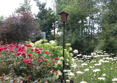 flowers and gardens at The Pines Senior Living and Memory Care in Clarks Summit