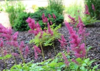 flowers at The Pines Senior Living and Memory Care in Clarks Summit